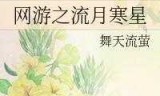 女生网游小说(网游之红颜江湖)